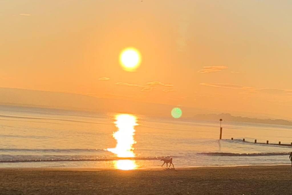 Bournemouth Nr Town Beach Train Coach Shops Lovely Entire Apartment Allows Quiet Good Dogs Экстерьер фото