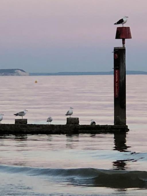 Bournemouth Nr Town Beach Train Coach Shops Lovely Entire Apartment Allows Quiet Good Dogs Экстерьер фото